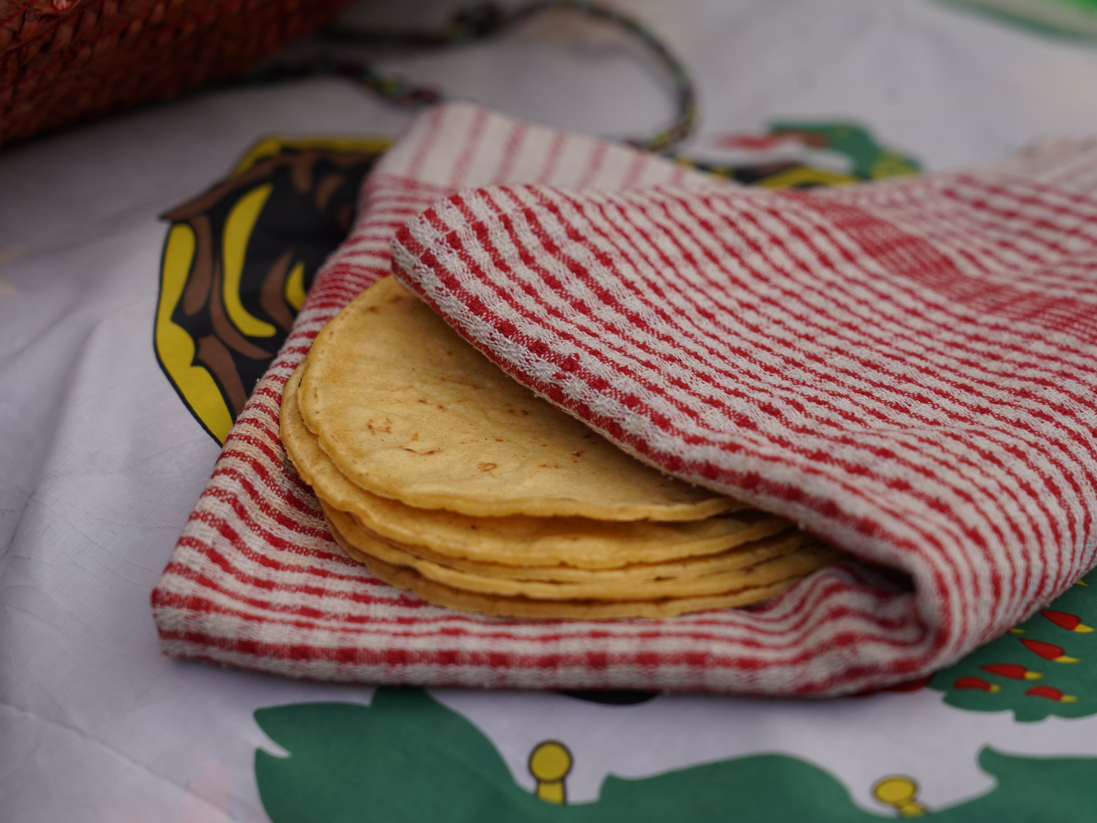 Tortillas de mais faites maison